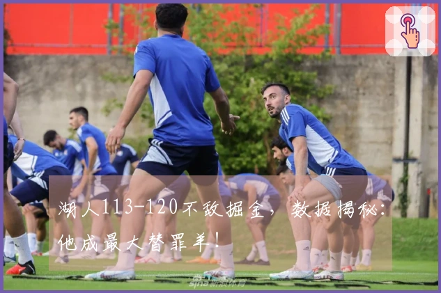 湖人113-120不敌掘金，数据揭秘：他成最大替罪羊！
