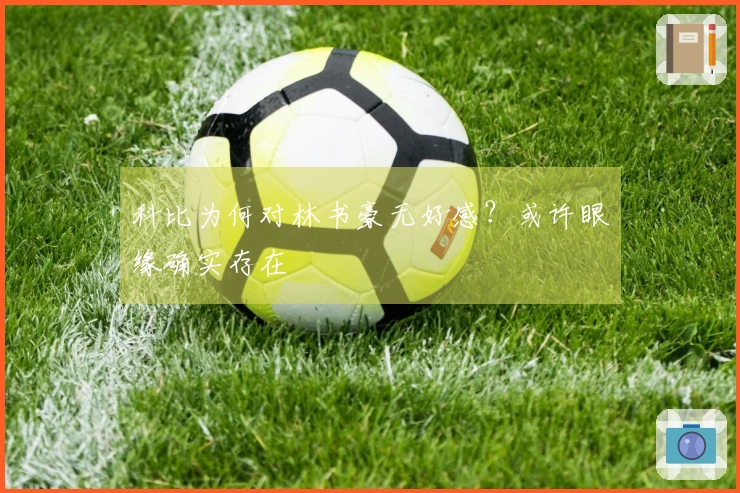 科比为何对林书豪无好感？或许眼缘确实存在